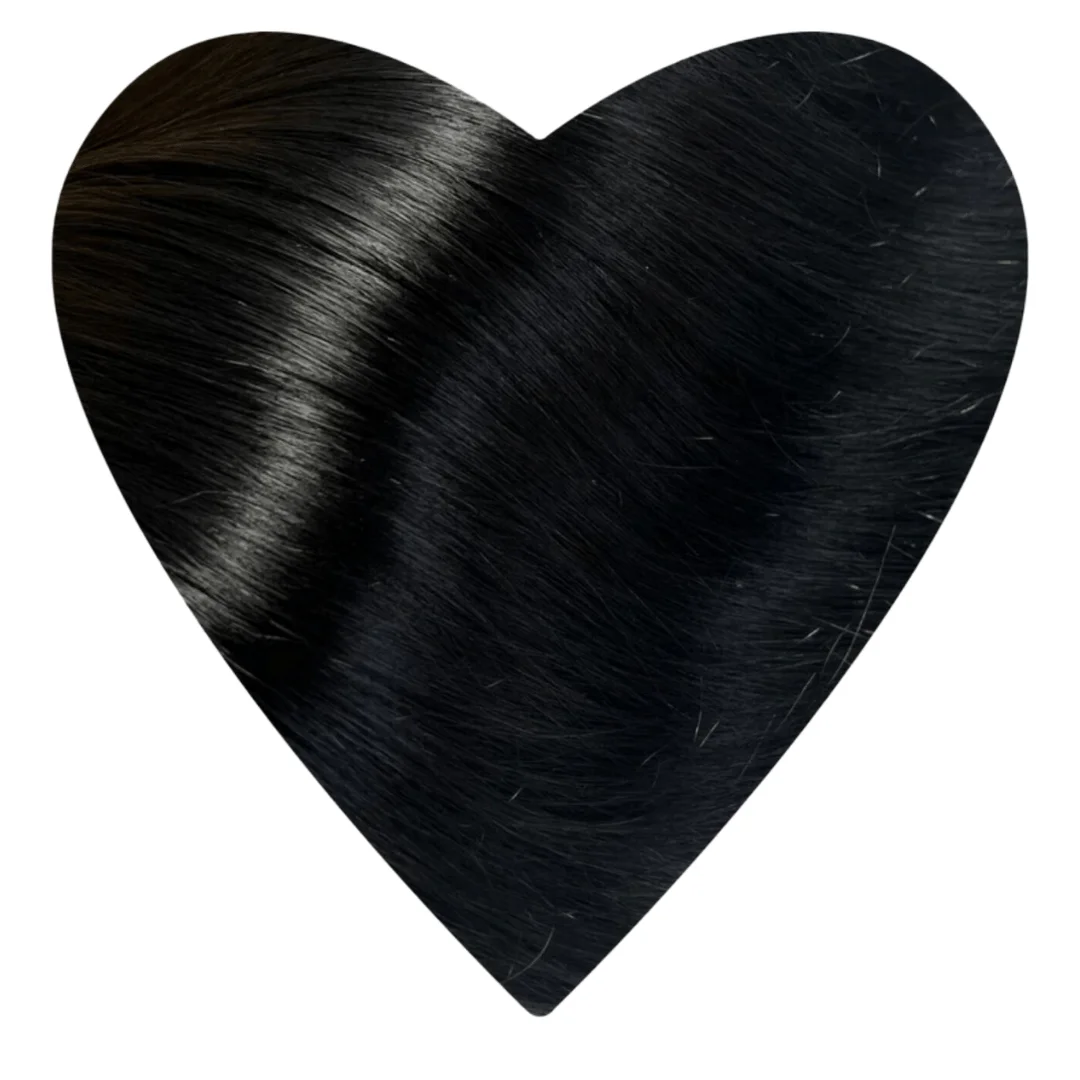 Daksha Hair Extensions JET BLACK #1